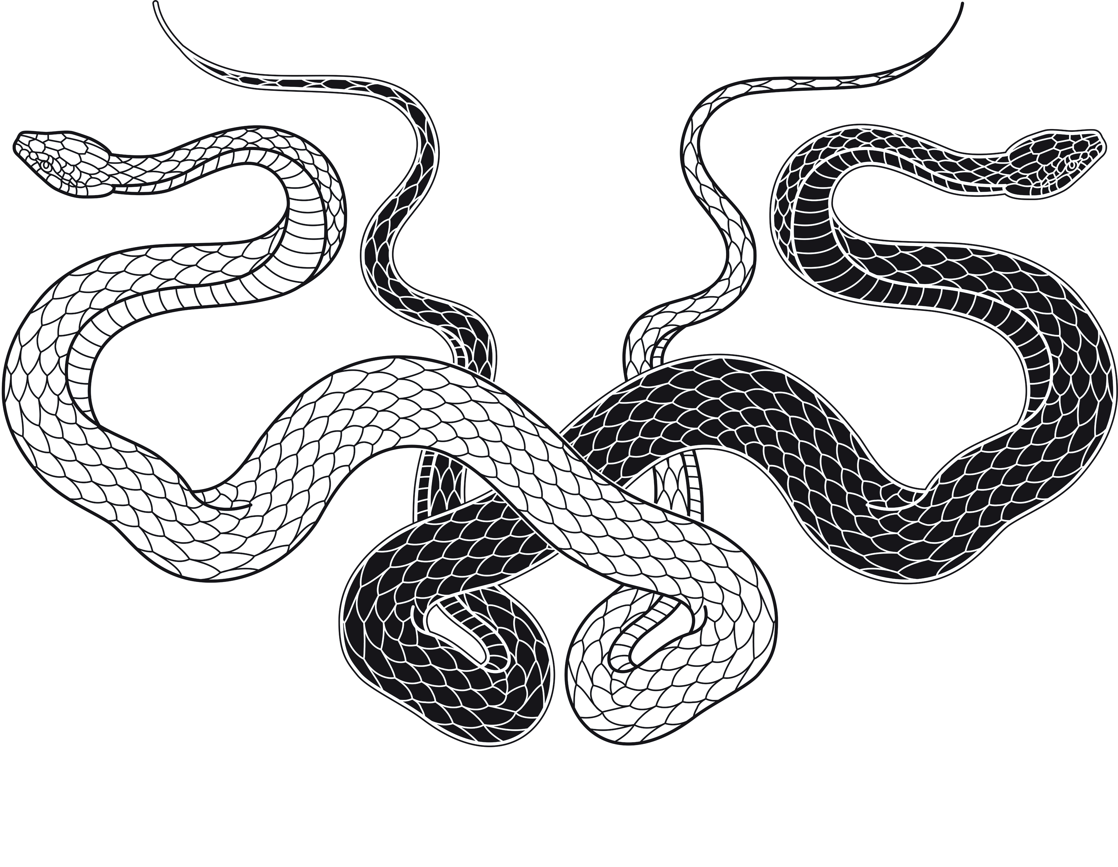 KNOSISロゴ